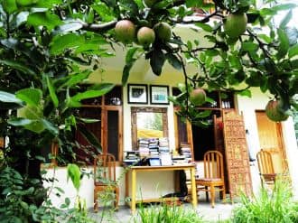 TG Stays Club House Road 2, Manali 1